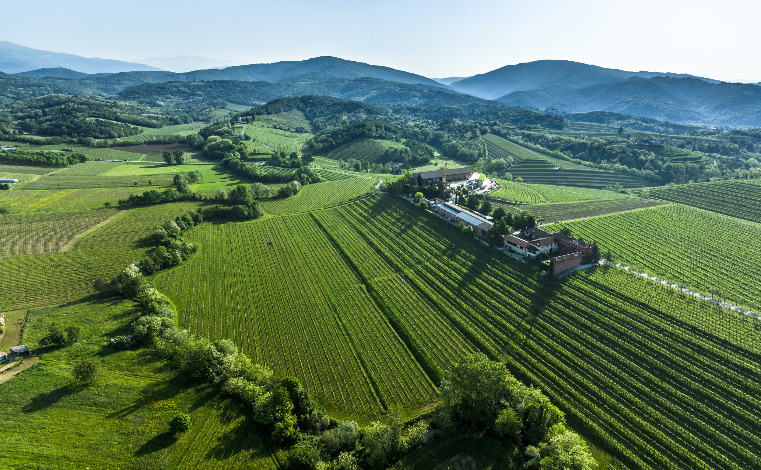 MONTEVERTINE 2000&2021年 2本セット Friuli Wines from the Colli Orientali – Zorzettig Wines